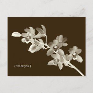 Postal Personalizado de fotos de flores de orquídeas tarj