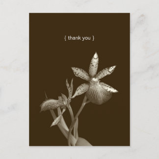 Postal Personalizado de fotos de flores de orquídeas tarj