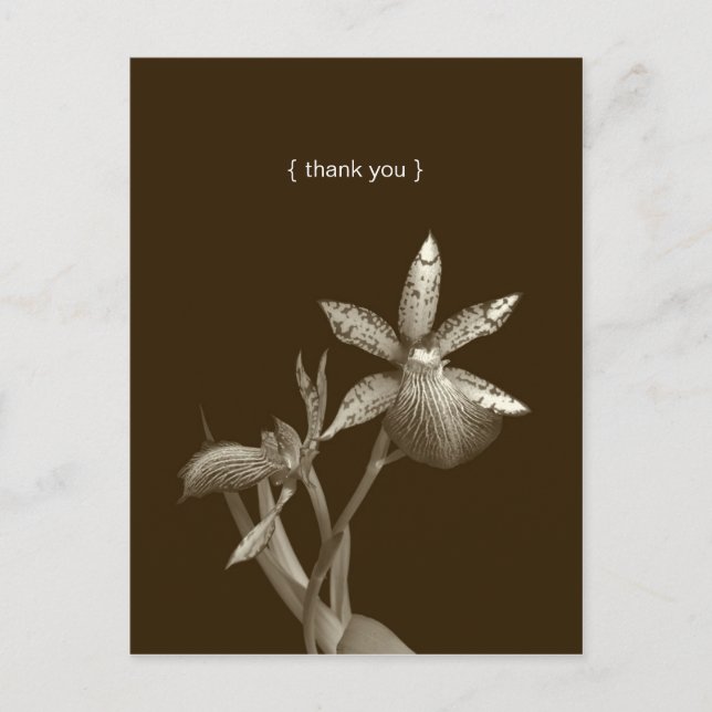 Postal Personalizado de fotos de flores de orquídeas tarj (Anverso)