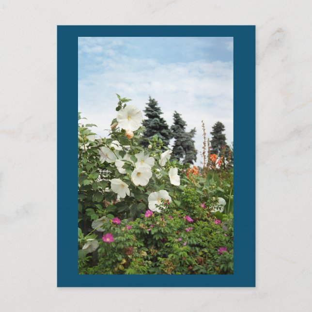 Postal Personalizado de las flores de verano del j (Anverso)