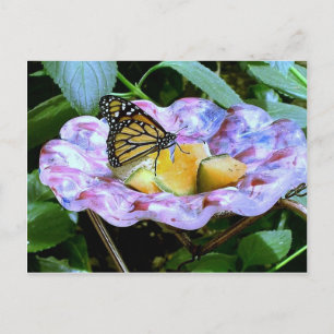 Postal Personalizado de mariposa