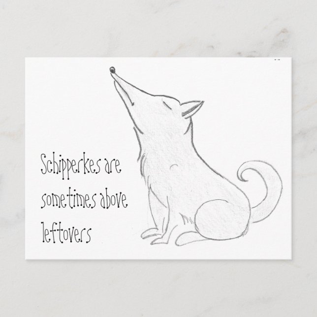 Postal Personalizado de perro de Schipperke (Anverso)