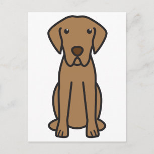 Postal Personalizado de Perro del recuperador de la bahía
