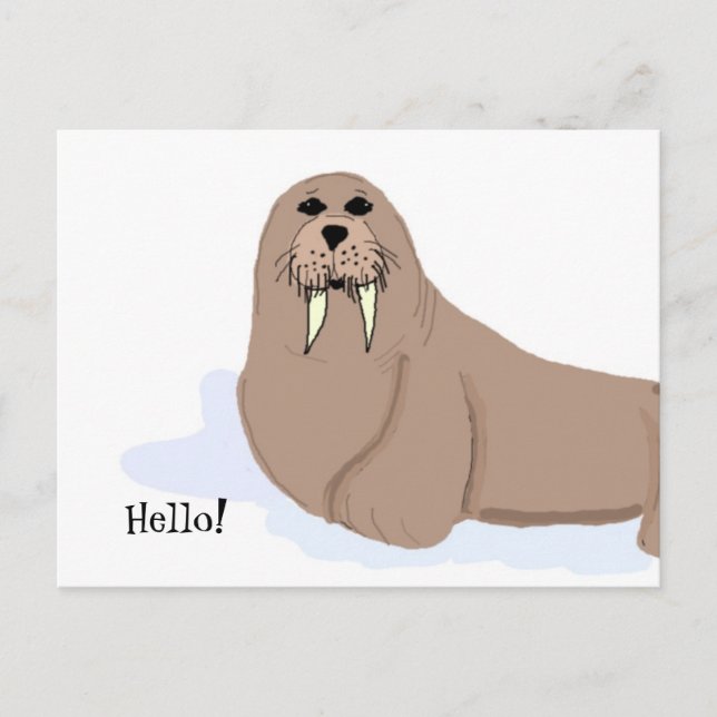 Postal Personalizado de Walrus (Anverso)