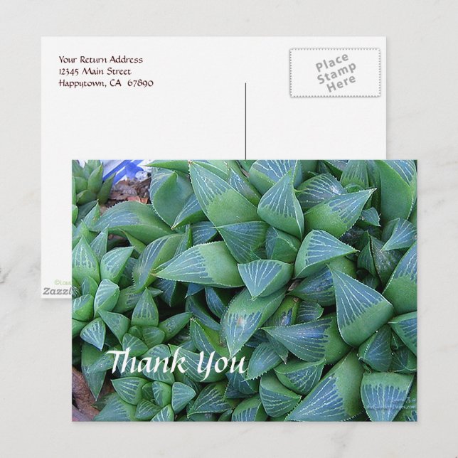 Postal Personalizado Gracias Hogar Planta Postcard (Anverso / Reverso)