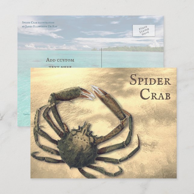Postal Personalizado ilustrado de cangrejo araña en todas (Anverso / Reverso)