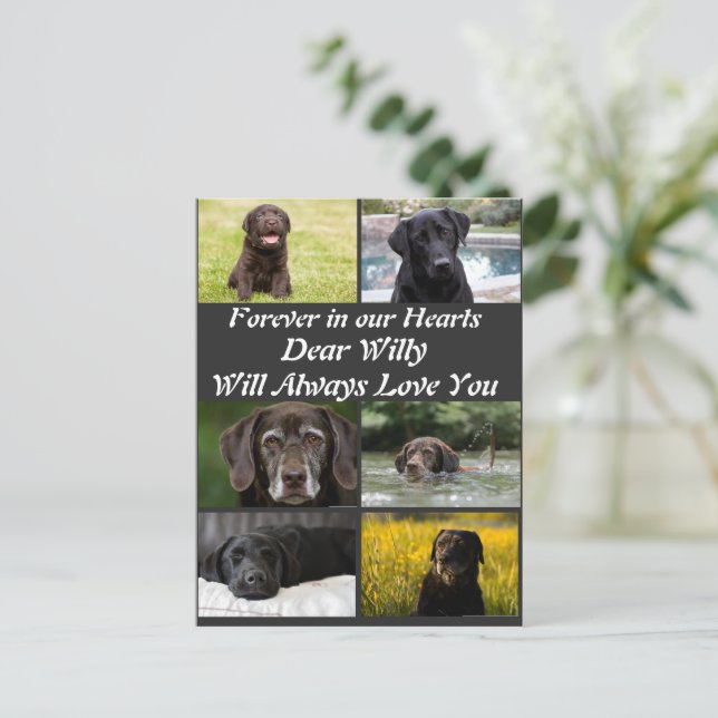 Postal Personalizado Mascota moderno Memorial 6 Collage d (Anverso de pie)