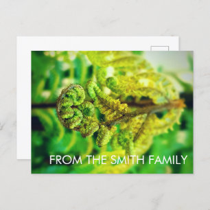 POSTAL PERSONALIZADO MODA GREEN LEAFY TROPICAL FERN NUEVA