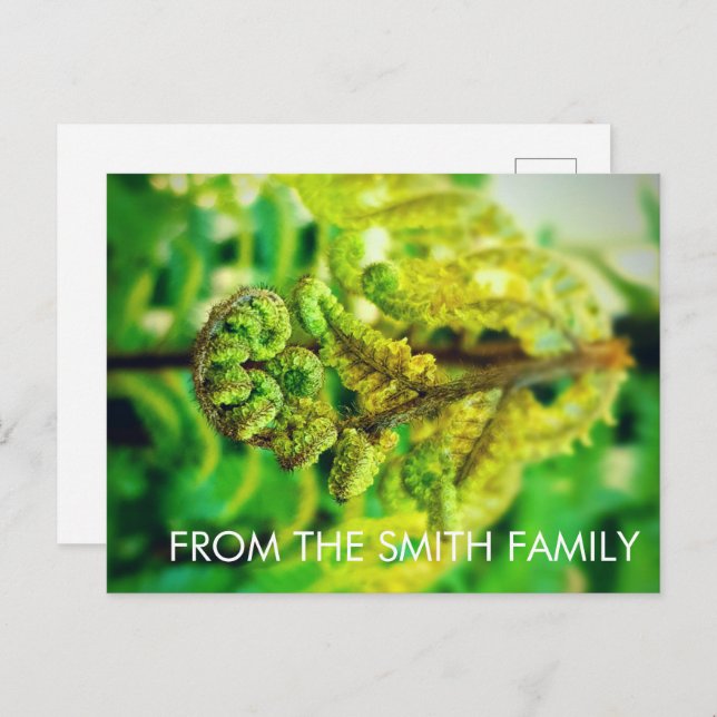 POSTAL PERSONALIZADO MODA GREEN LEAFY TROPICAL FERN NUEVA (Anverso / Reverso)