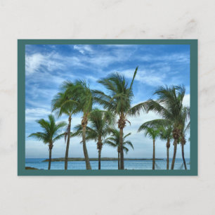 Postal Personalizado por la tarde tropical