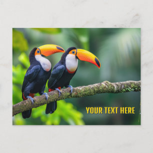 Postal Personalizado Texto Toucanes tropicales