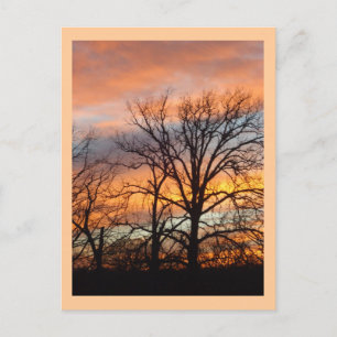 Postal personalizado Winter Sunset 1
