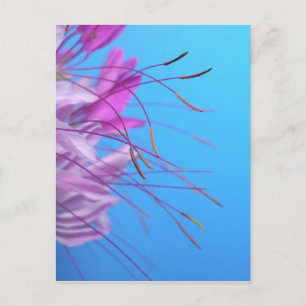 Postal Personalizar con mensaje propio