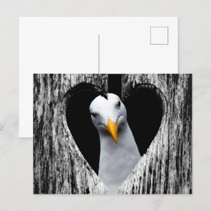Postal ¡personalizar con su propia foto!