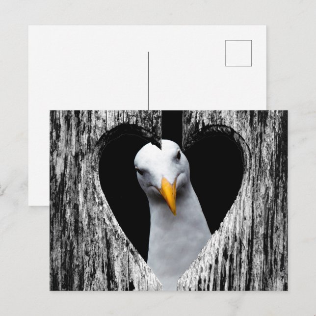 Postal ¡personalizar con su propia foto! (Anverso / Reverso)