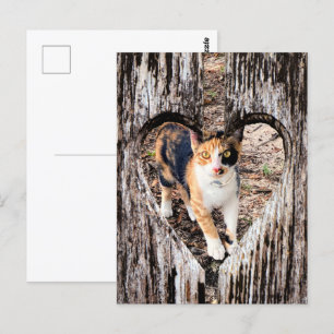 Postal ¡personalizar con su propia foto!