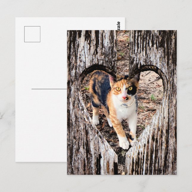 Postal ¡personalizar con su propia foto! (Anverso / Reverso)