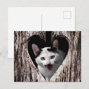 Postal ¡personalizar con su propia foto!