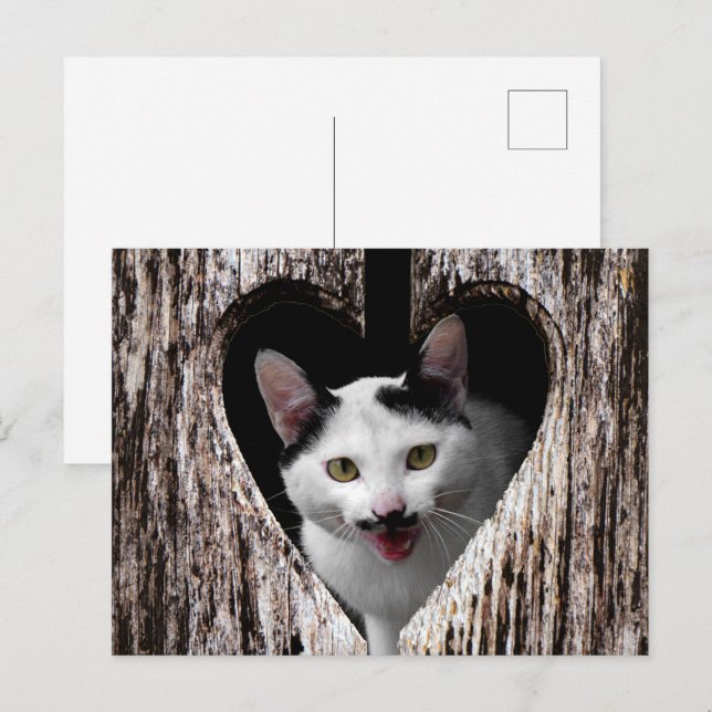 Postal ¡personalizar con su propia foto! (Anverso / Reverso)