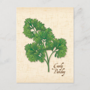 Postal Personalizar Curly Parsley Herb Postcard