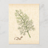 Personalizar Dill Herb Postcard