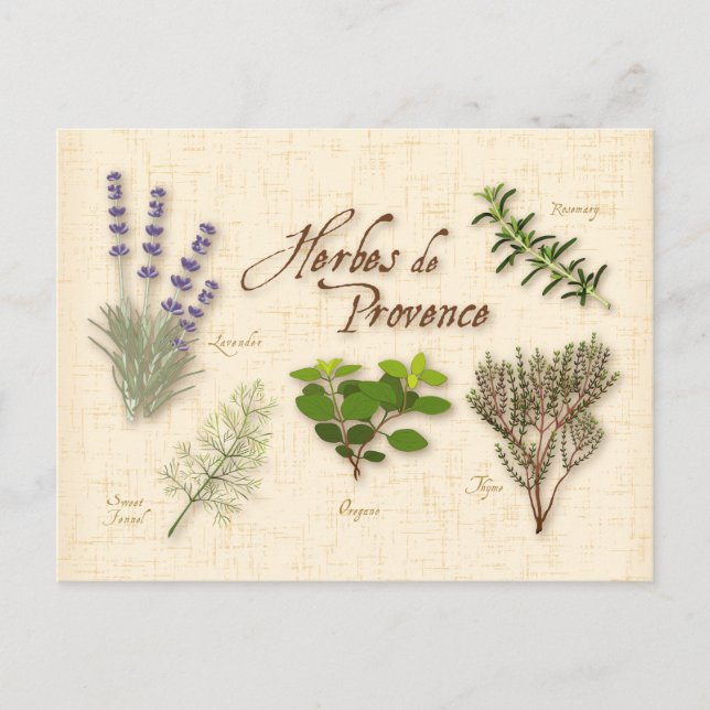 Postal Personalizar Herbes de Provence Postcard (Anverso)