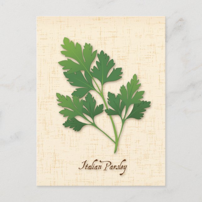 Postal Personalizar italiano Parsley Postcard (Anverso)