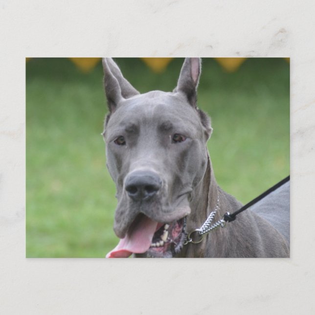 Postal Personalizar producto (Anverso)