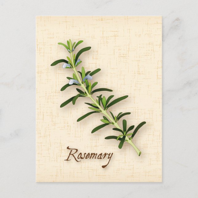 Postal Personalizar Rosemary Herb Postcard (Anverso)