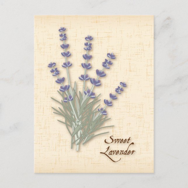 Postal personalizar Sweet Lavender (Anverso)