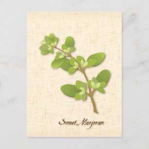 Postal Personalizar Sweet Marjoram Postcard