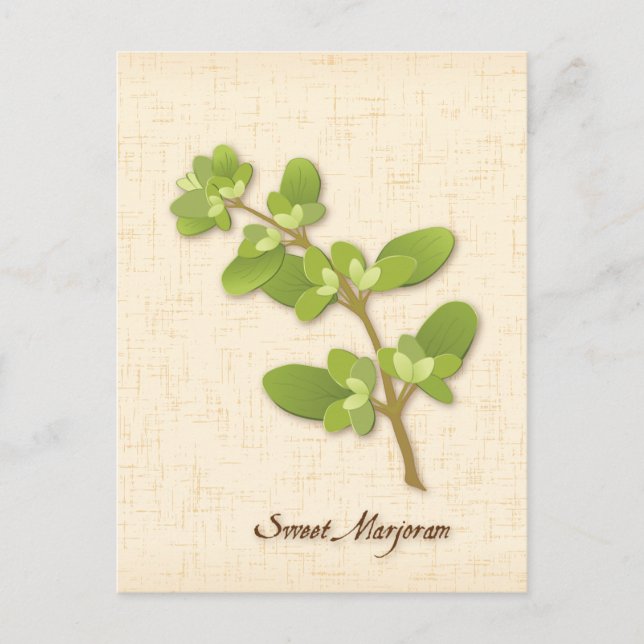 Postal Personalizar Sweet Marjoram Postcard (Anverso)
