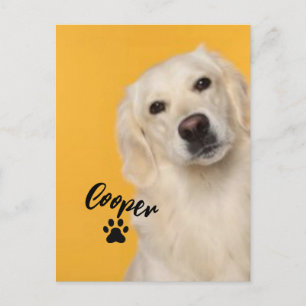 Postal Personalized Pet Photo Dog Lover with Photo