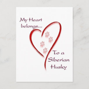 Postal Pertenece al Husky Siberian Heart