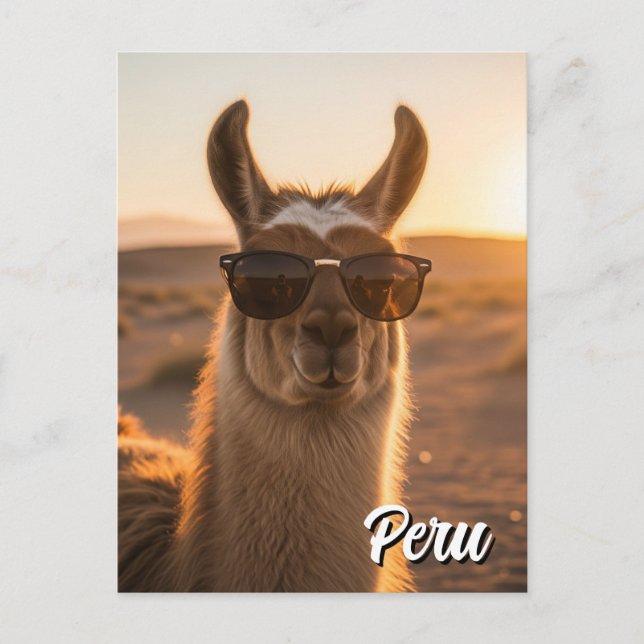 Postal Perú Llama con gafas de sol (Anverso)