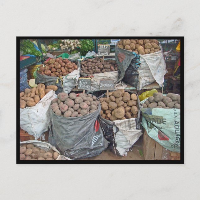 Postal Perú-Tierra de Patatas (Anverso)