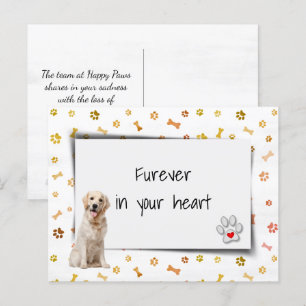 Postal Pésame por la pérdida de un Golden Retriever