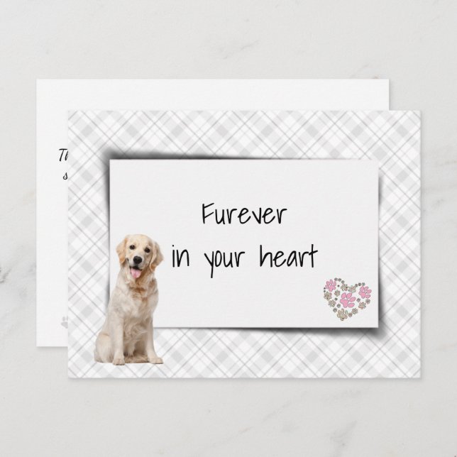 Postal Pésame por la pérdida de un Golden Retriever (Anverso / Reverso)