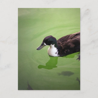 Postal Pesca con patos