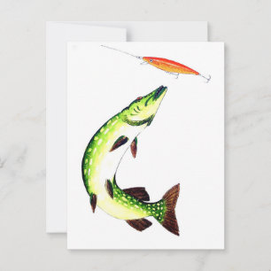 Postal Pesca de cerco y pesca con mosca