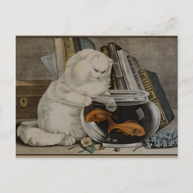 Postal Pesca de gato persa (Anverso)