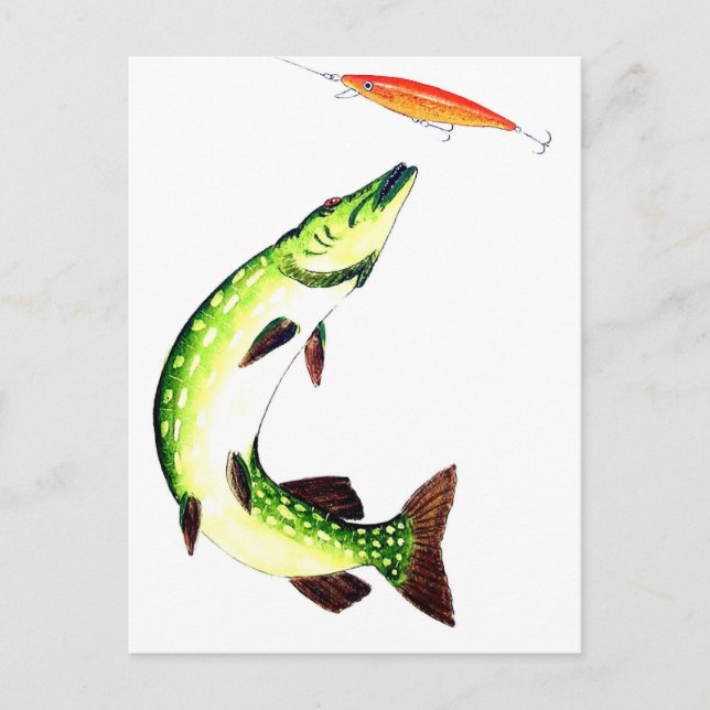 Postal Pesca de lucio y pesca con mosca (Anverso)