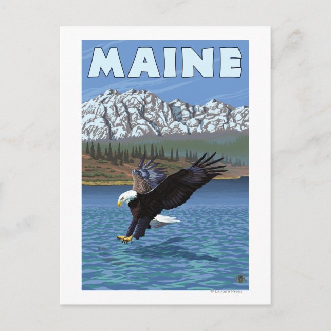Postal Pesca de MaineEagle (Anverso)