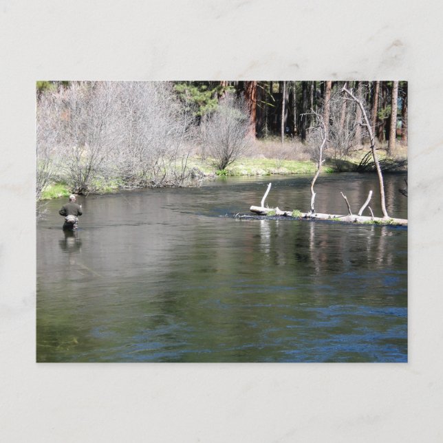 Postal Pesca de mosca en el Metolius (Anverso)