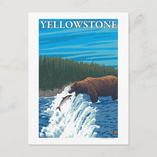 Postal Pesca de oso en río - Yellowstone National (Anverso)