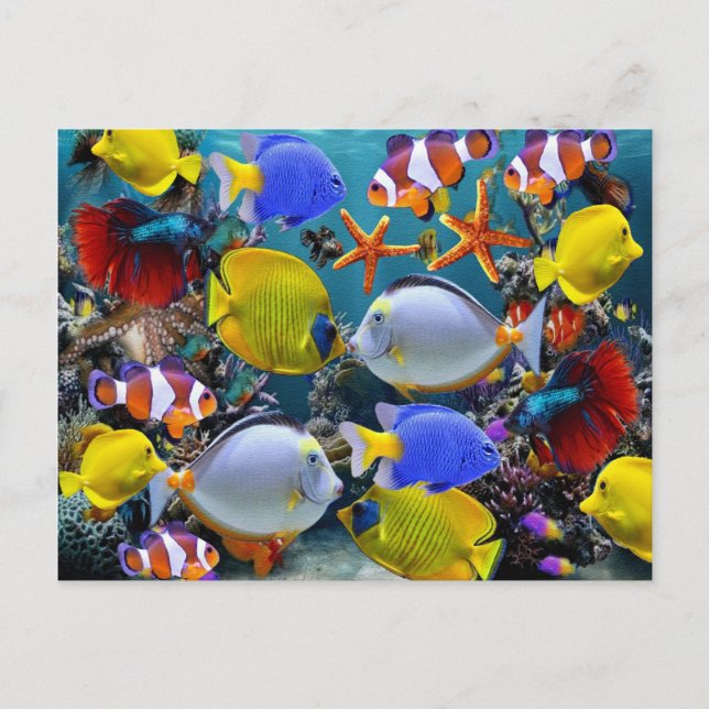 Postal pesca de peces tropicales de acuario (Anverso)