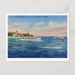 Postal Pesca de Sábalo en Florida