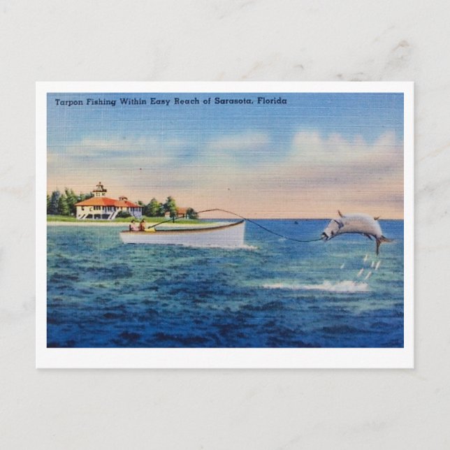 Postal Pesca de Sábalo en Florida (Anverso)