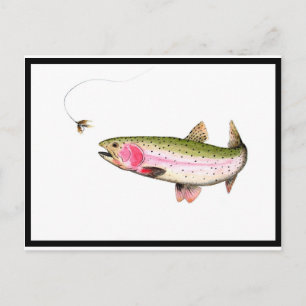 Postal Pesca de trucha arco iris