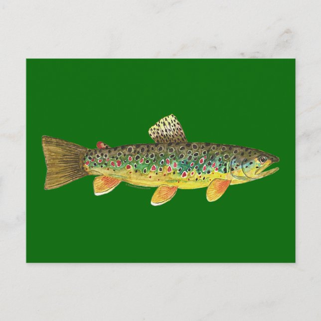 Postal Pesca de trucha marrón (Anverso)